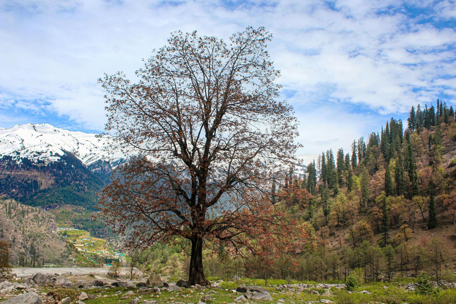 Beyond the Beaten Path: Discovering India's Hidden Gems with Chandigarh Tourist Company