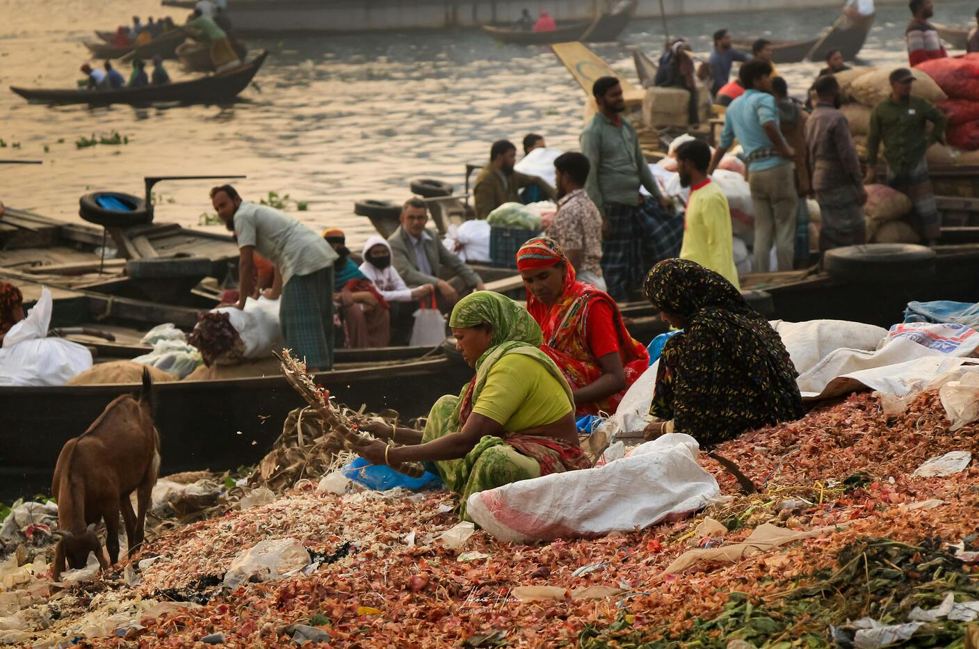 The Art of Ethical Luxury: Sustainable Travel with Chandigarh Tourist Company